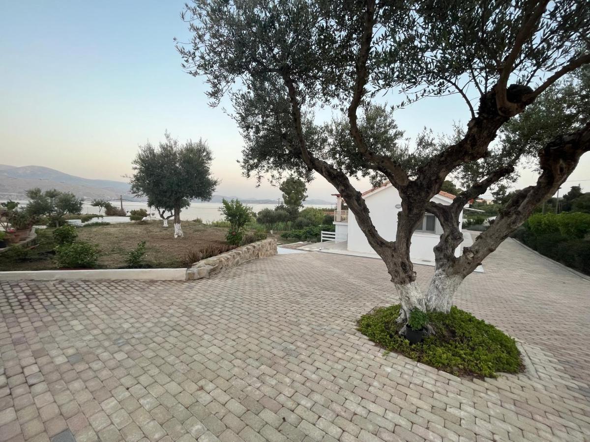 Apollonides Seafront Villa1 Aoede Ληξούρι Εξωτερικό φωτογραφία
