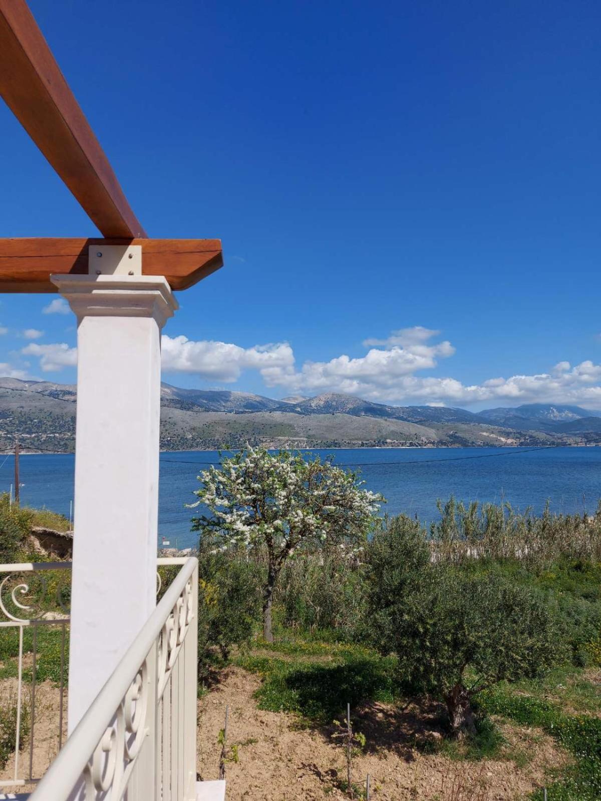 Apollonides Seafront Villa1 Aoede Ληξούρι Εξωτερικό φωτογραφία